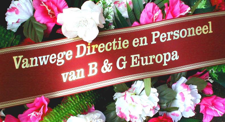 Lint Polysat 100mm x 50m